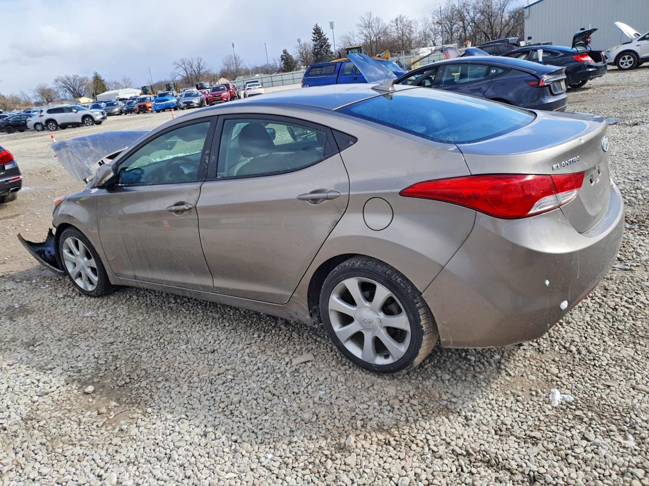 2013 HYUNDAI ELANTRA LIMITED photo 3