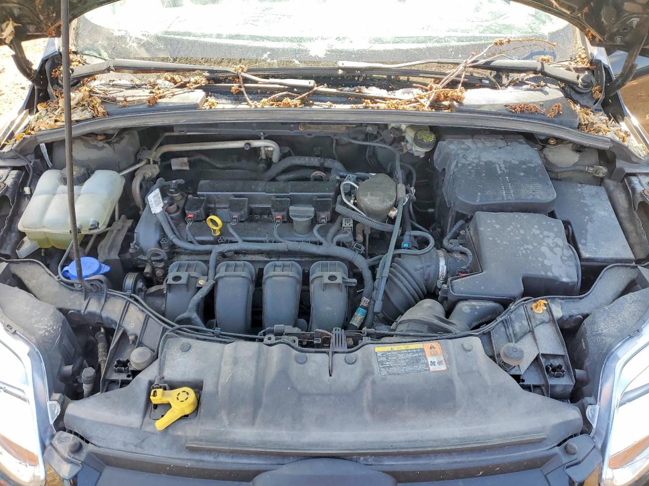 2014 FORD FOCUS SE photo 21