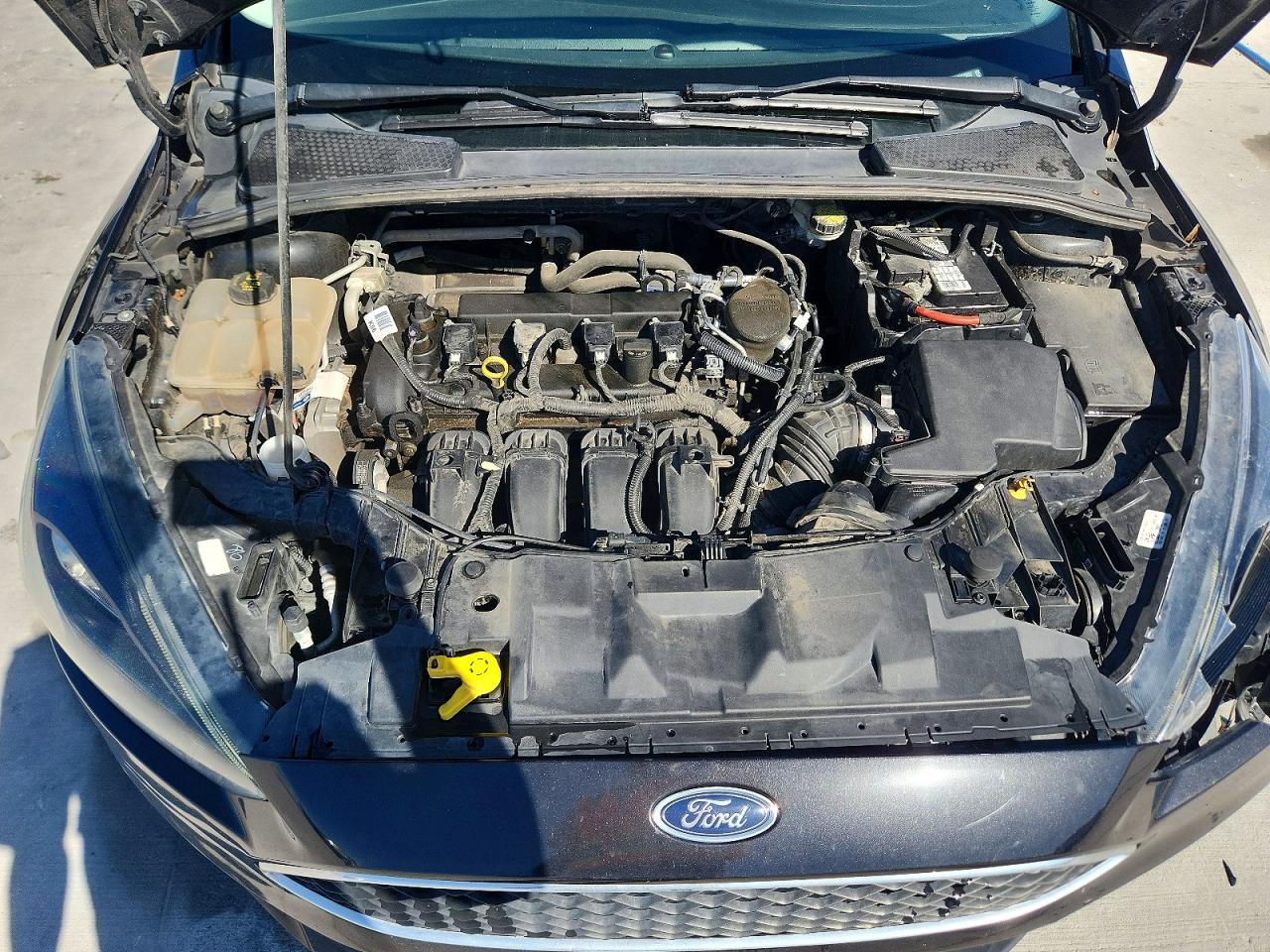 2015 FORD FOCUS SE photo 11