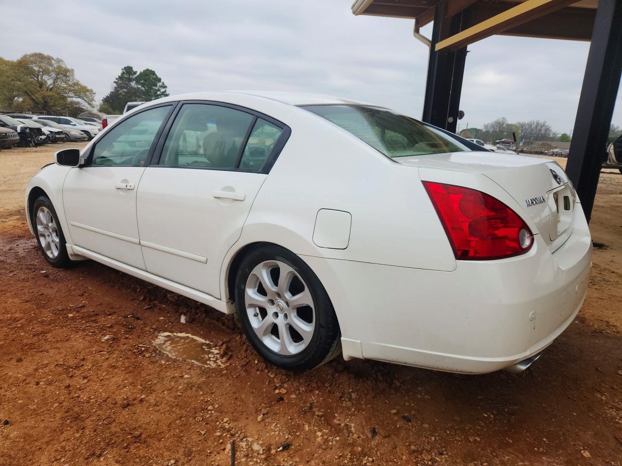 2007 NISSAN MAXIMA 3.5 SE photo 3