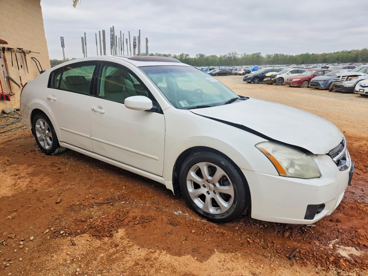2007 NISSAN MAXIMA 3.5 SE photo 7