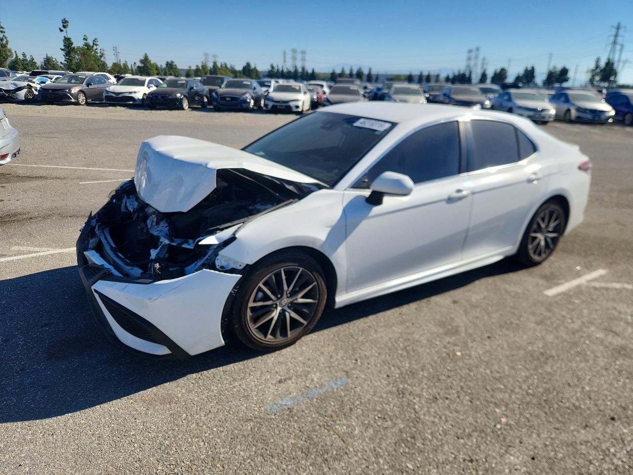 2022 TOYOTA CAMRY