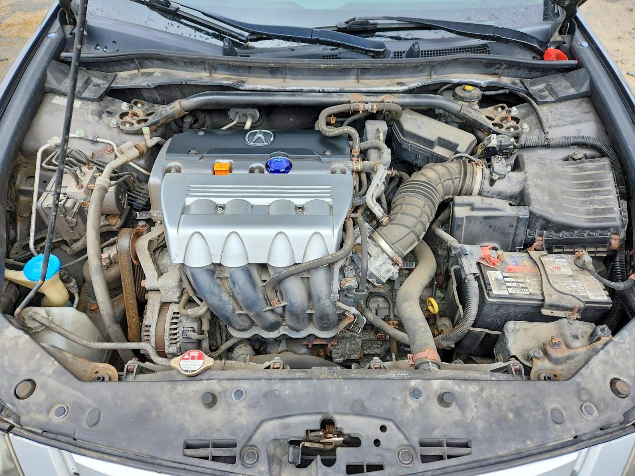 2010 ACURA TSX photo 11