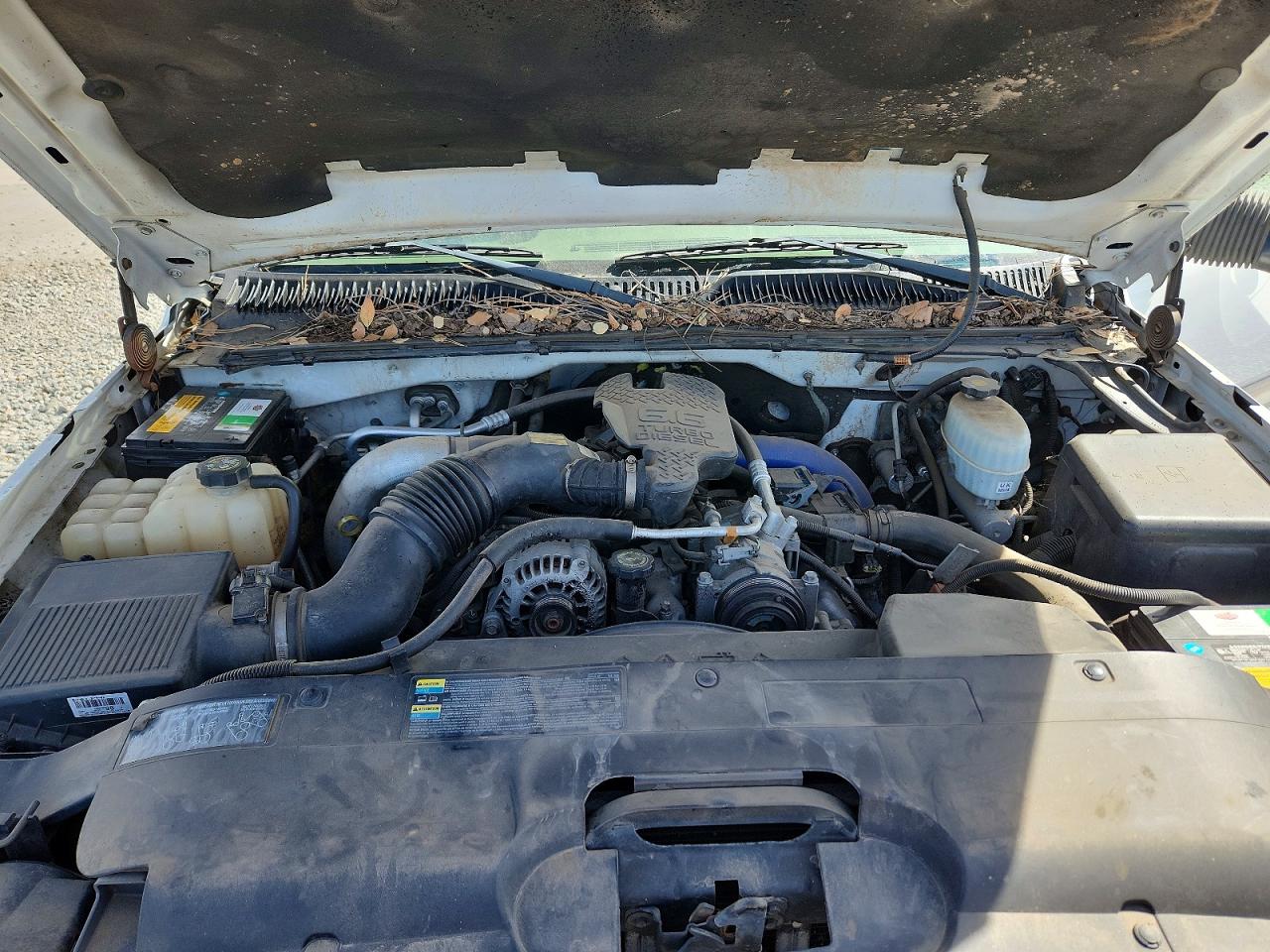 2004 CHEVROLET SILVERADO K2500 HEAVY DUTY photo 11