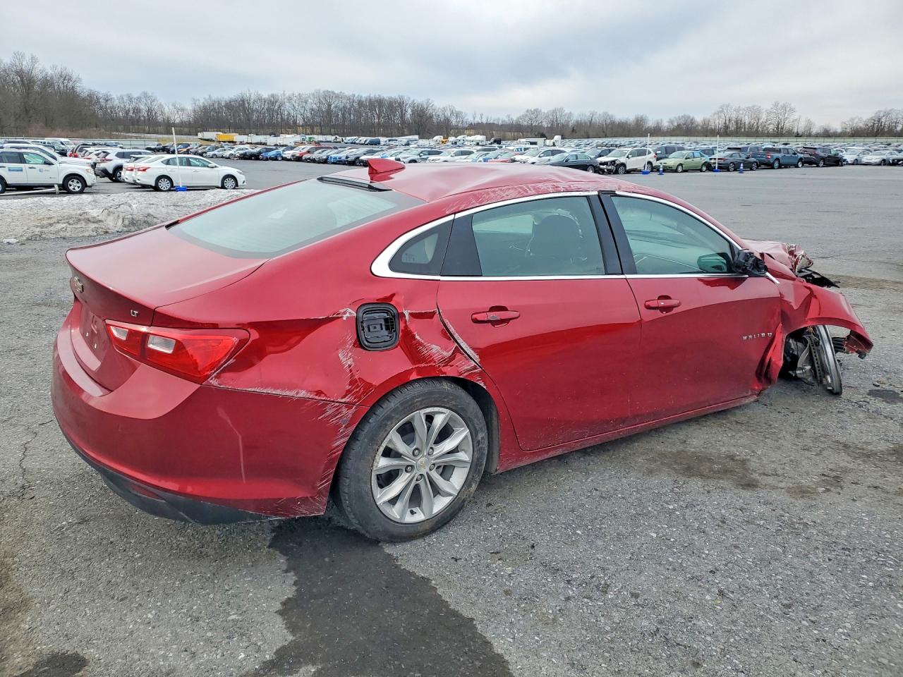 2024 CHEVROLET MALIBU LT photo 5
