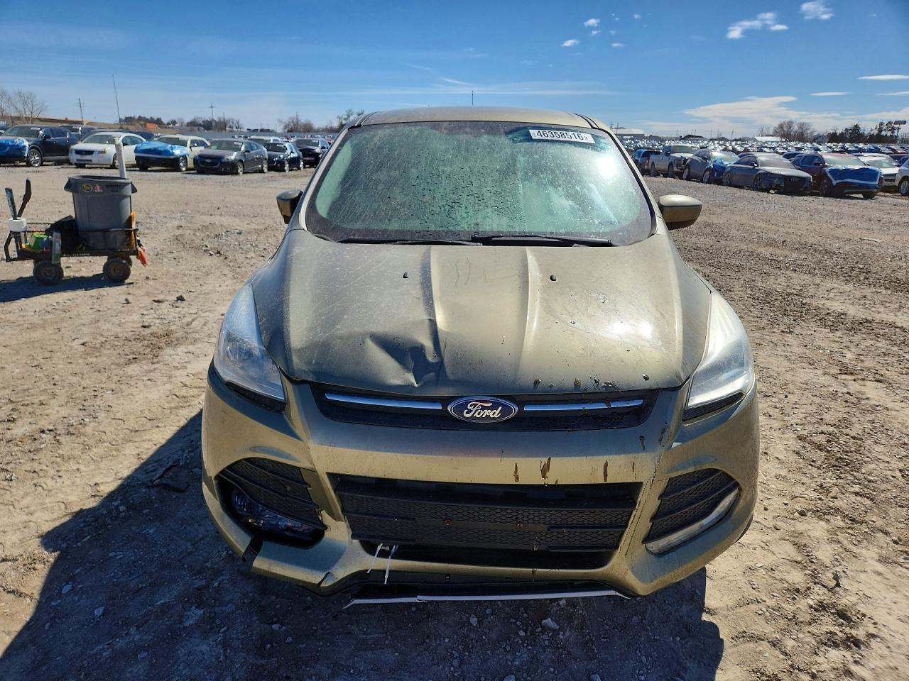 2013 FORD ESCAPE SE photo 5