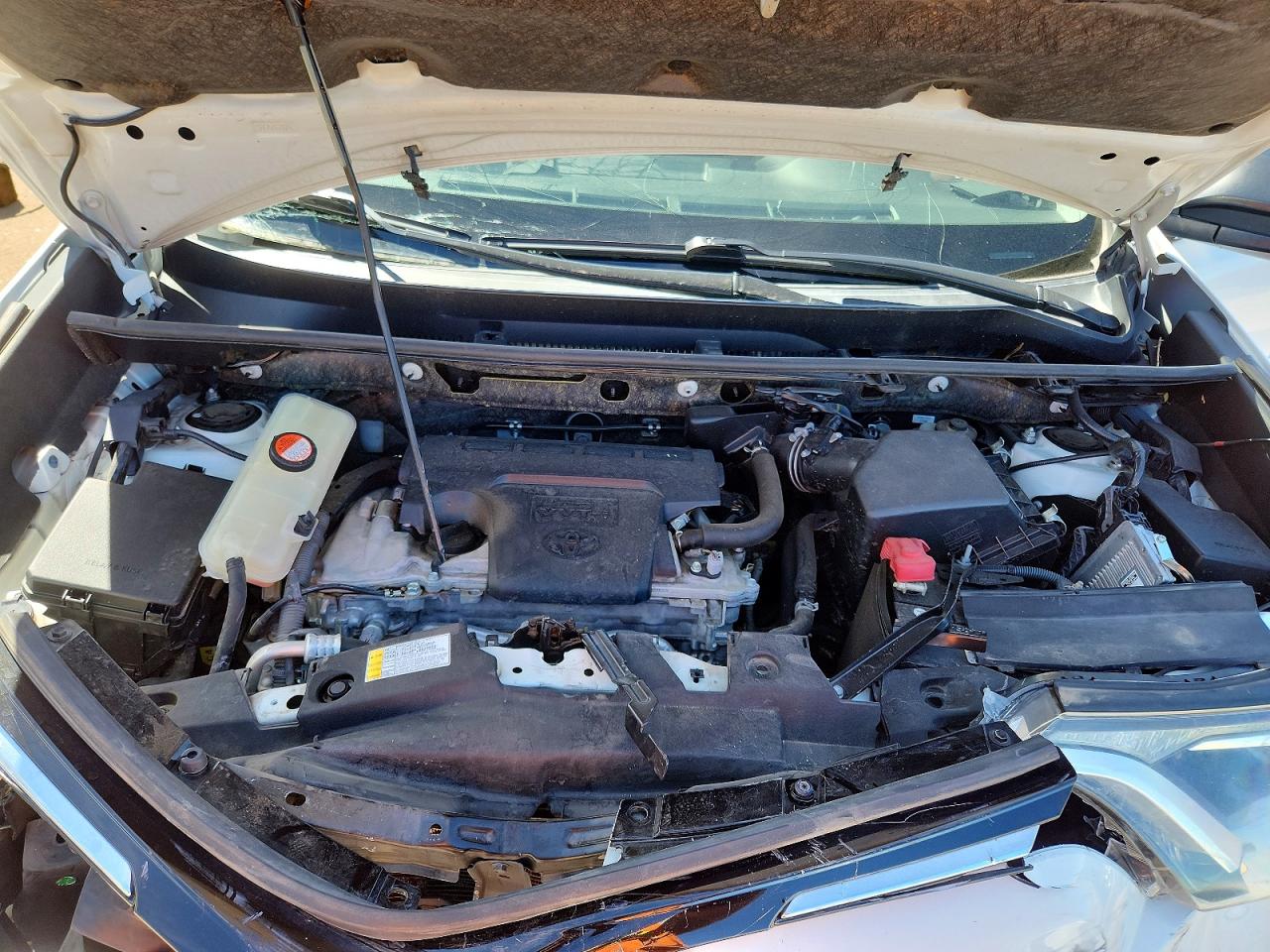 2016 TOYOTA RAV4 LE photo 12
