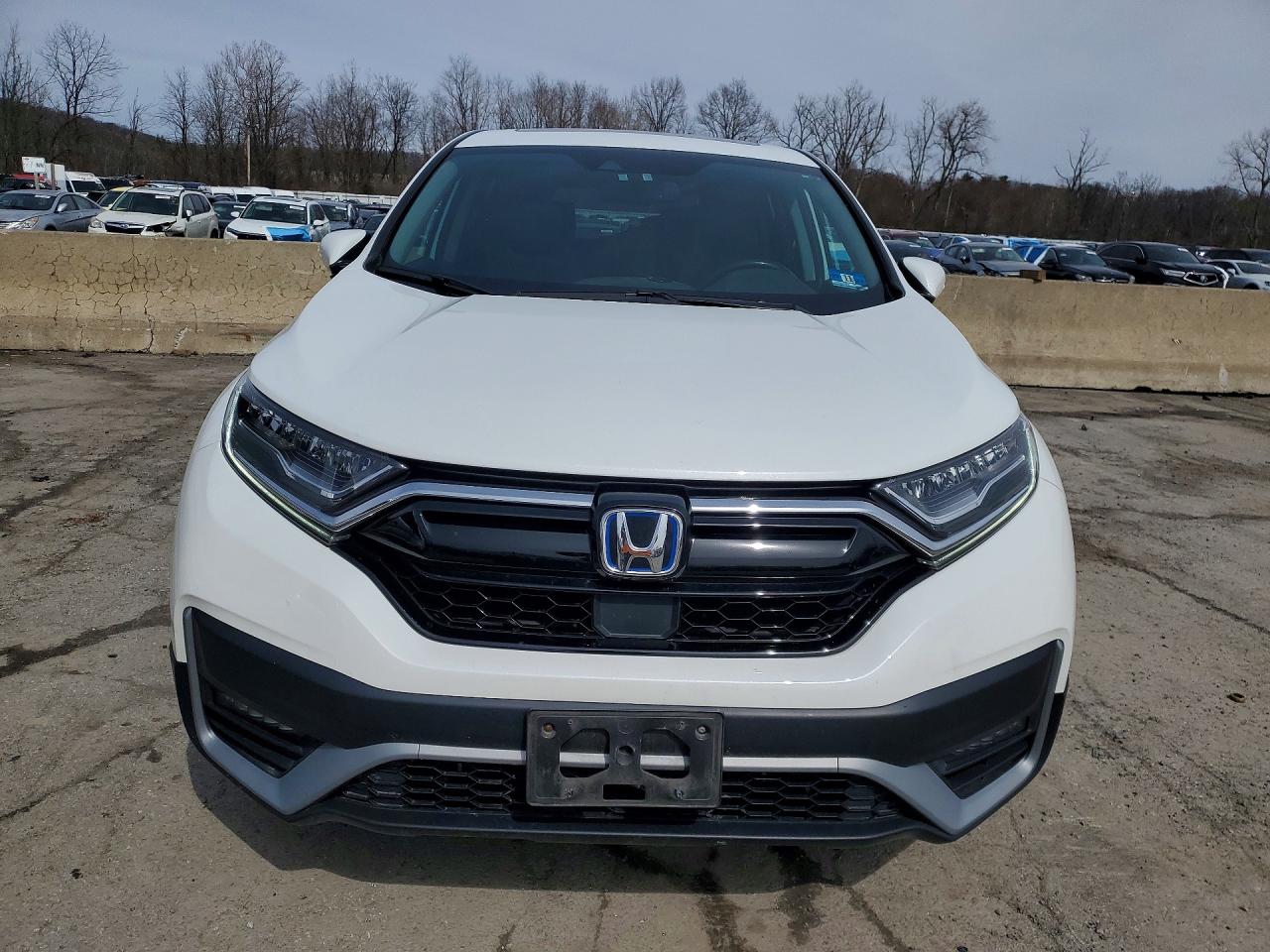 2020 HONDA CR-V EXL photo 5