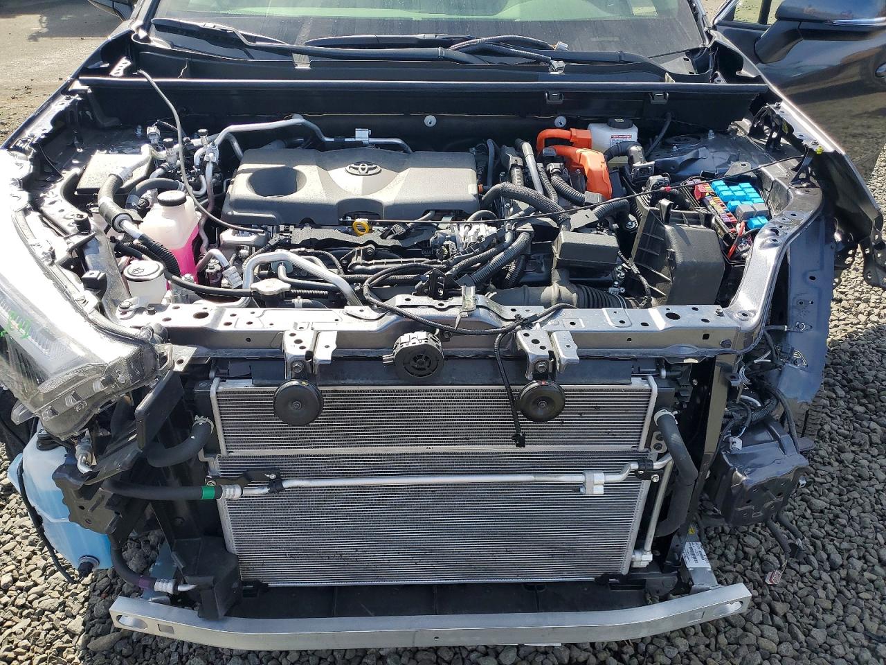 2024 TOYOTA RAV4 PRIME SE photo 12