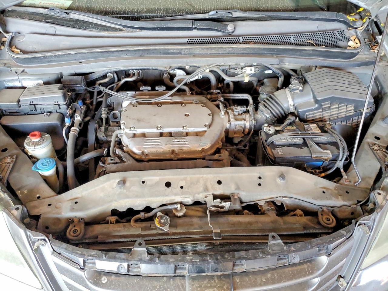 2008 HONDA ODYSSEY EXL photo 12