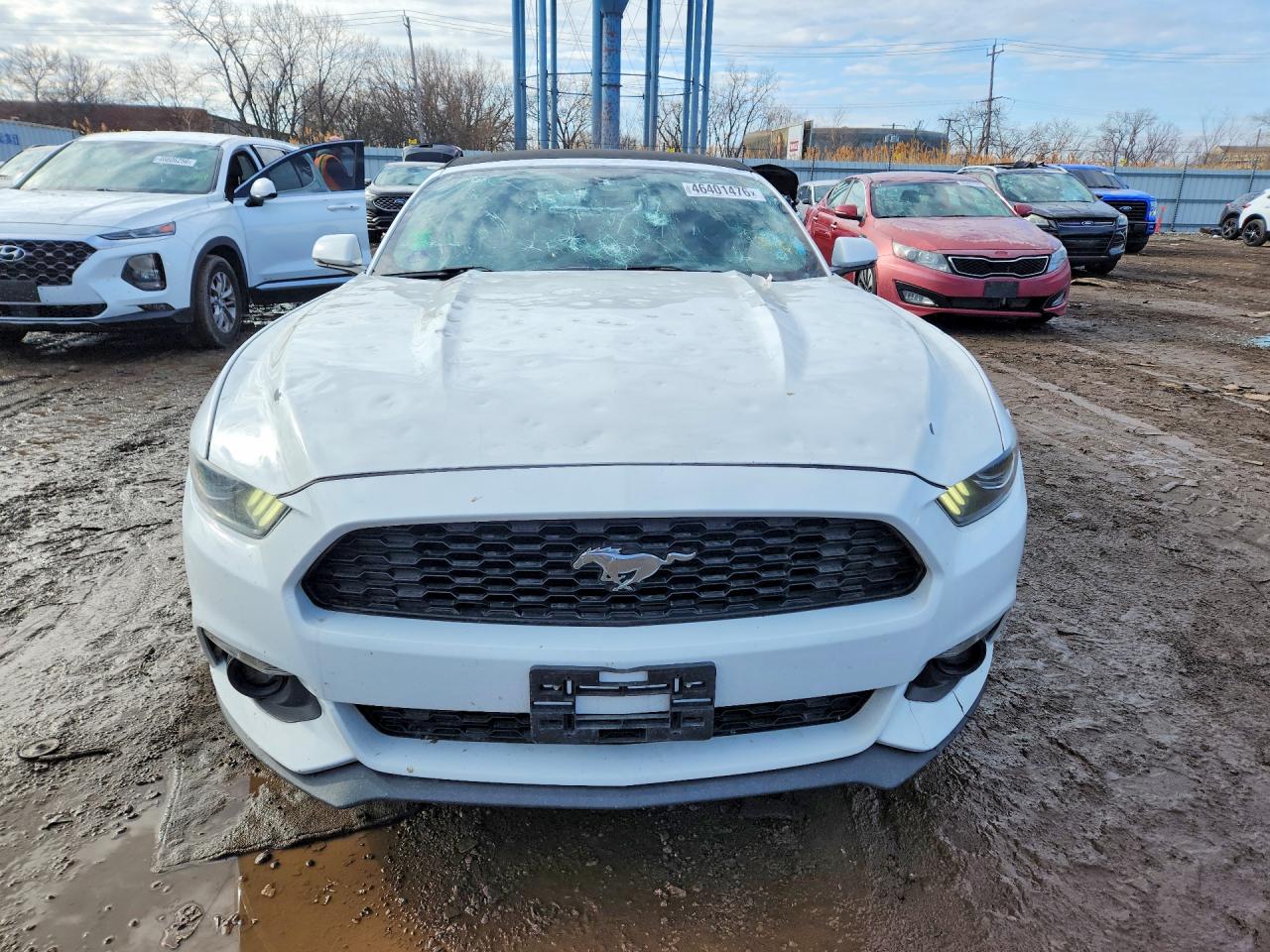 2017 FORD MUSTANG photo 5