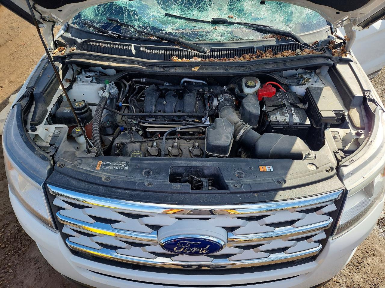2019 FORD EXPLORER XLT photo 12