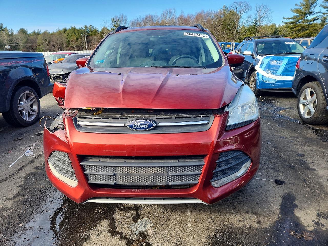 2016 FORD ESCAPE SE photo 5