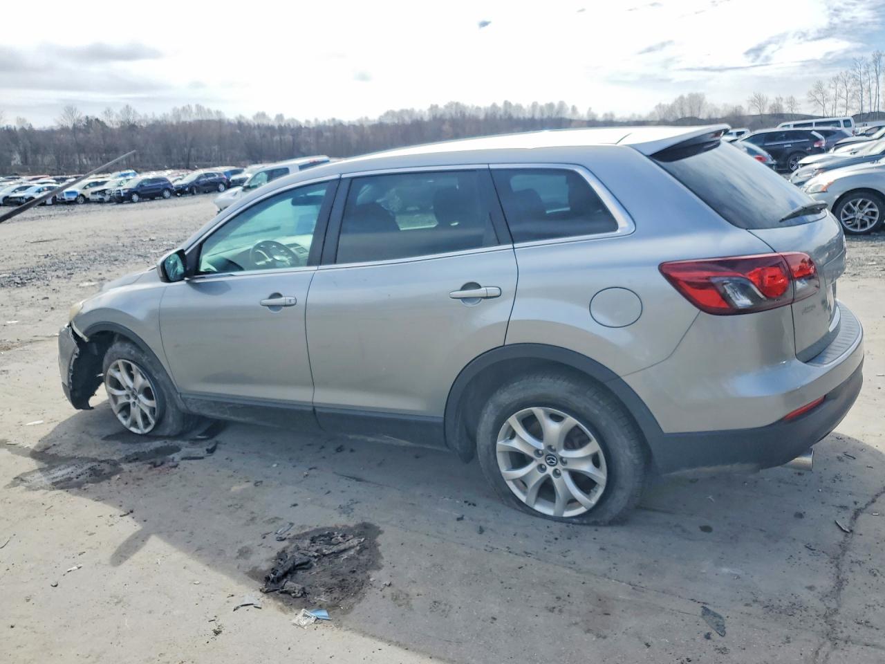2014 MAZDA CX-9 SPORT photo 2