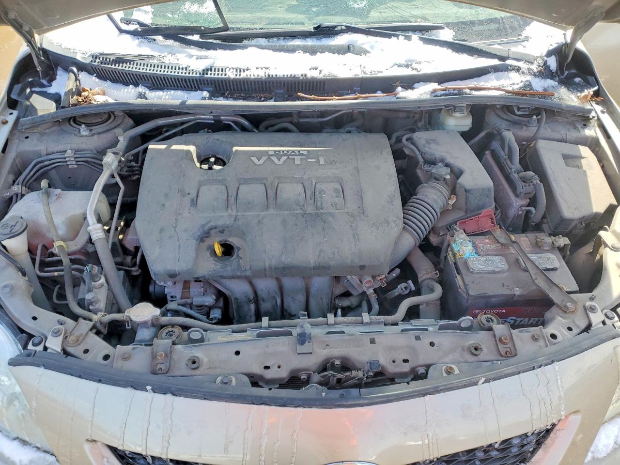 2010 TOYOTA COROLLA LE photo 11