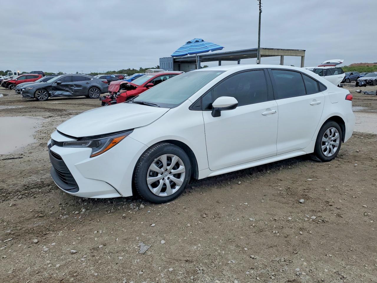 2024 TOYOTA COROLLA