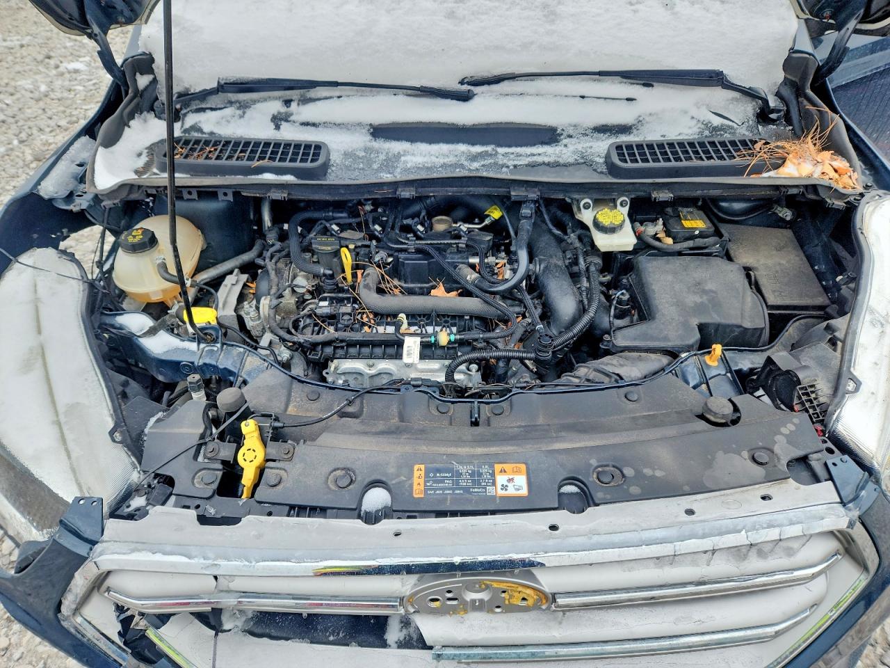 2019 FORD ESCAPE SE photo 23