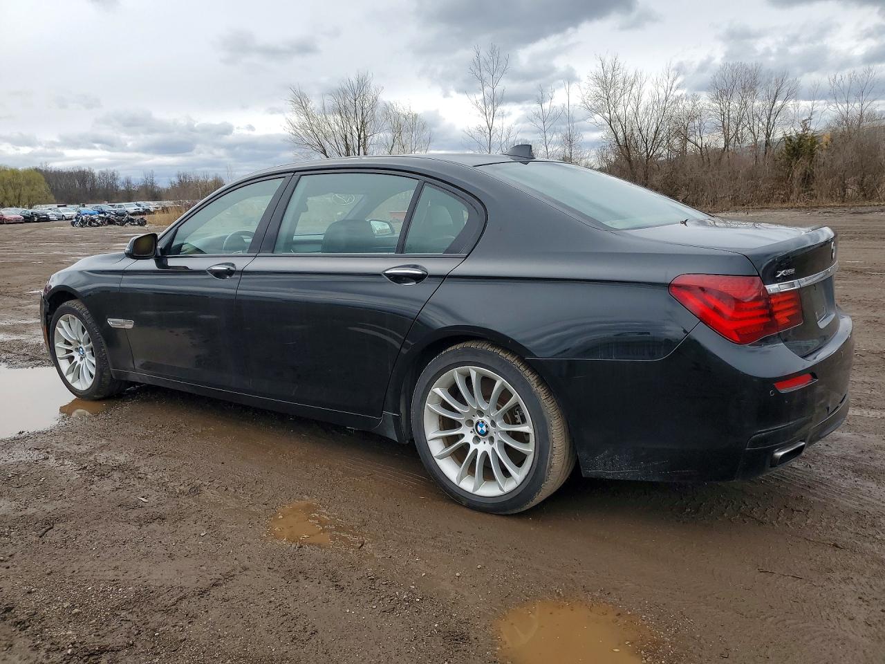2013 BMW 750 LXI photo 2