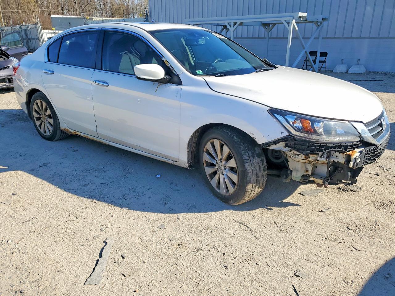 2014 HONDA ACCORD EXL photo 7