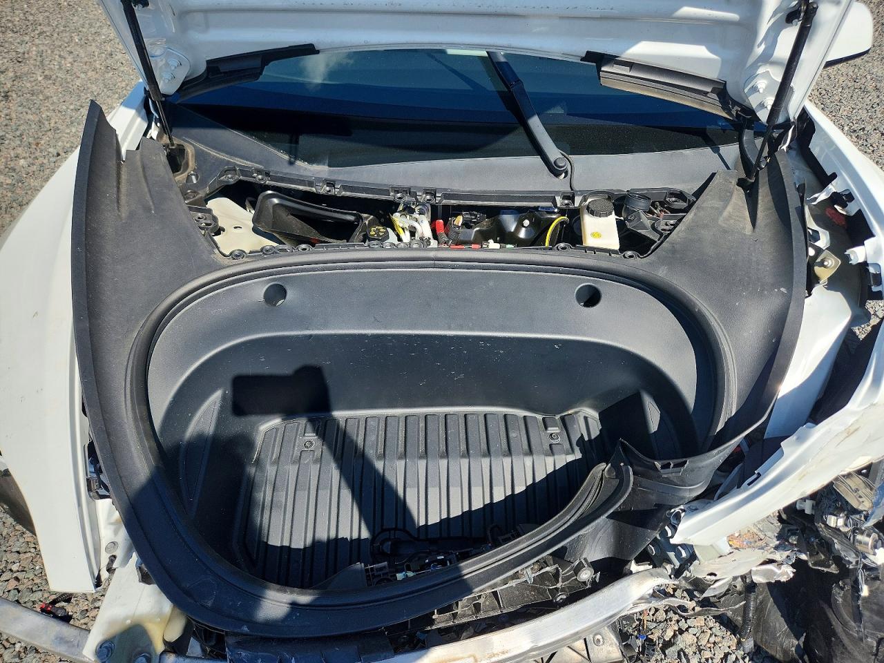2023 TESLA MODEL 3 photo 12