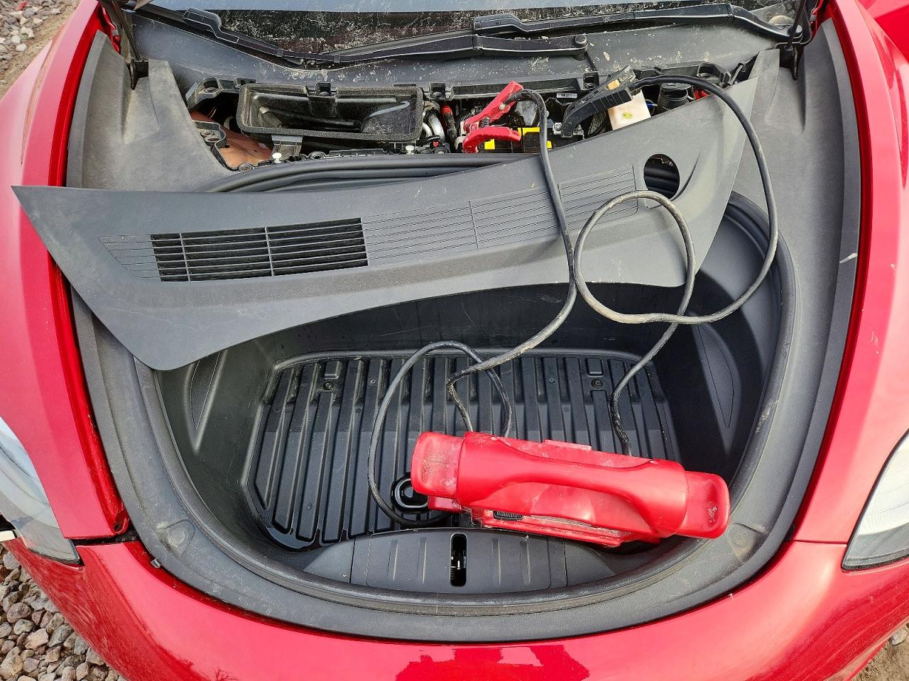 2021 TESLA MODEL 3 photo 11