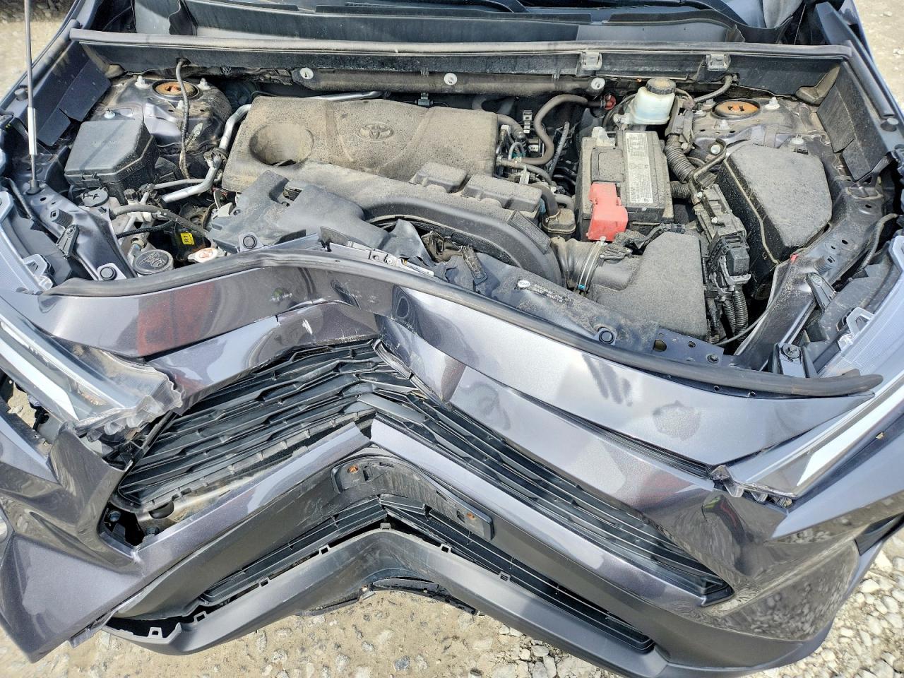 2019 TOYOTA RAV4 XLE photo 12