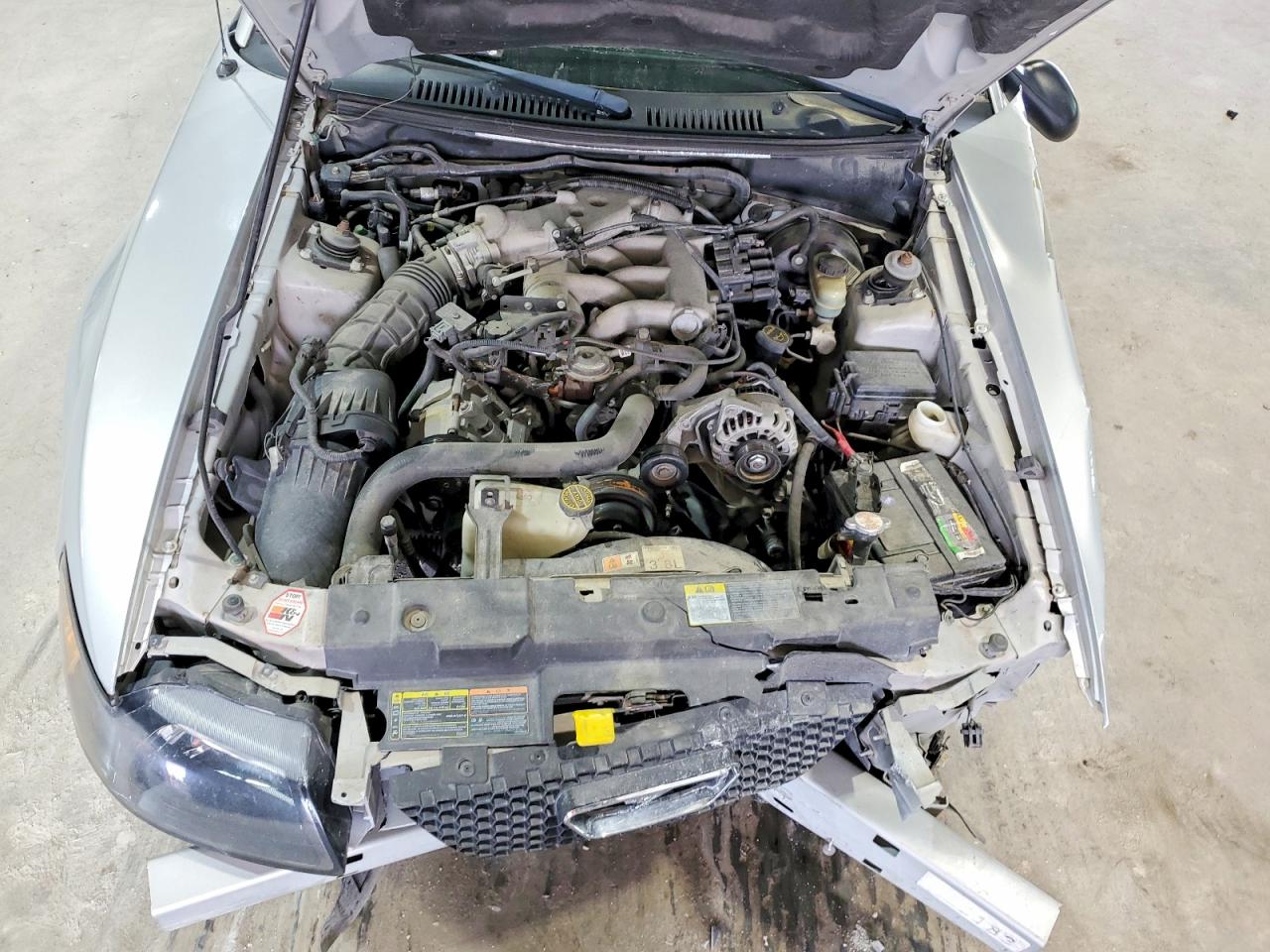 2002 FORD MUSTANG photo 11