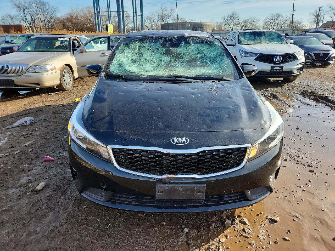 2017 KIA FORTE LX photo 5