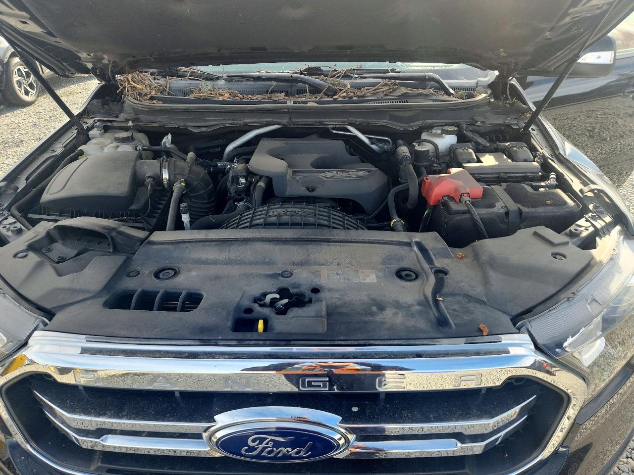 2019 FORD RANGER XL photo 23