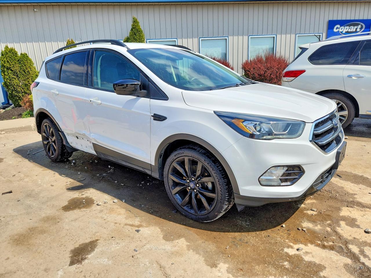2019 FORD ESCAPE SE photo 10