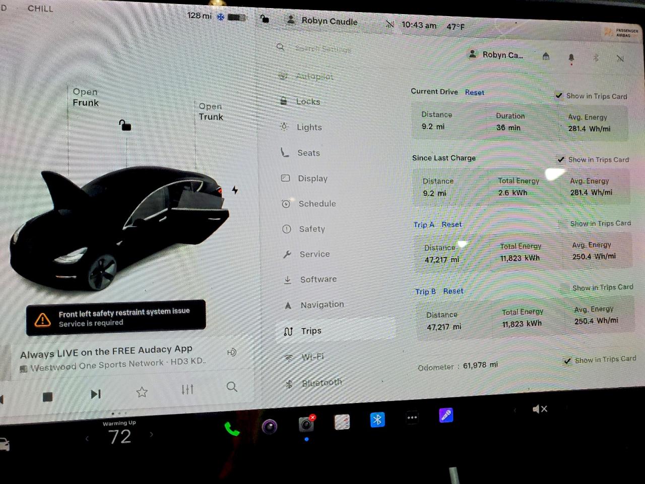 2020 TESLA MODEL 3 photo 9