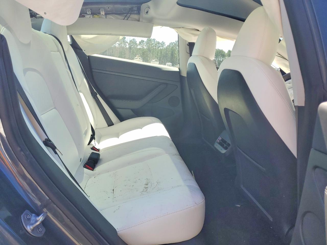 2023 TESLA MODEL 3 photo 10
