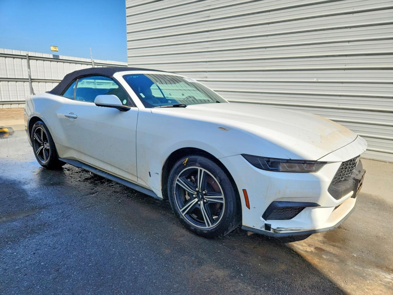 2025 FORD MUSTANG photo 4