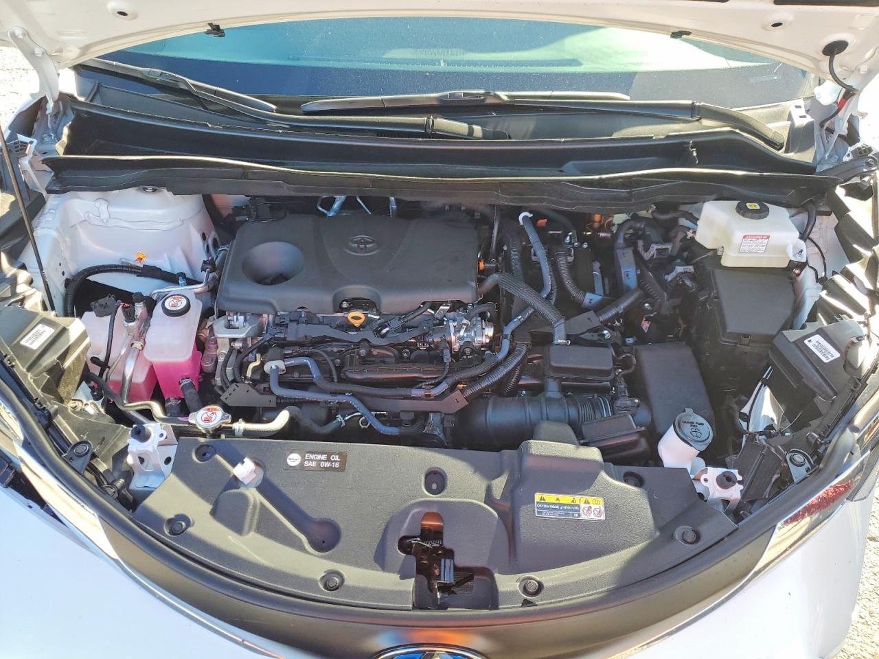 2025 TOYOTA SIENNA XLE 8-PASSENGER photo 23