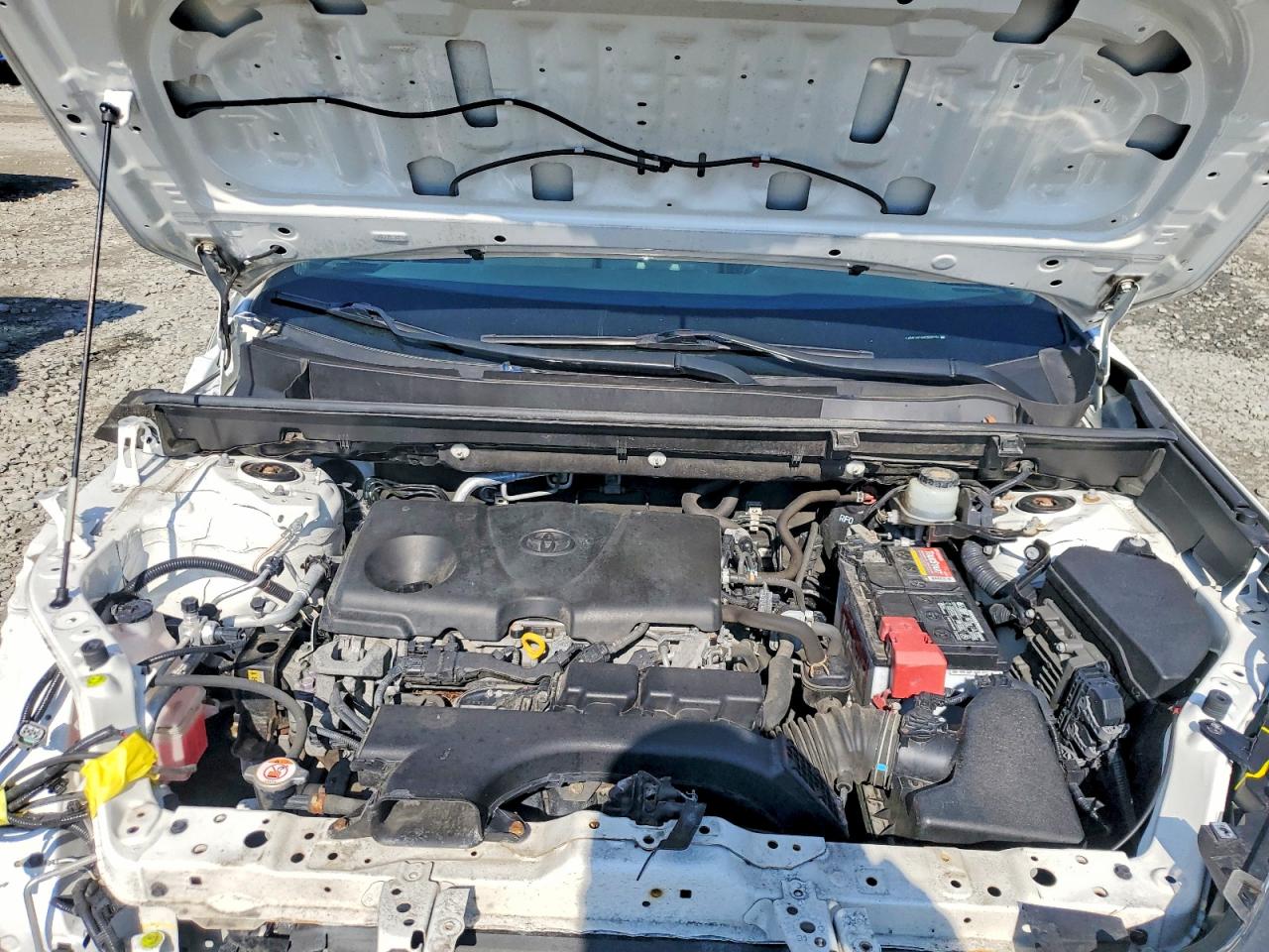 2019 TOYOTA RAV4 LE photo 23