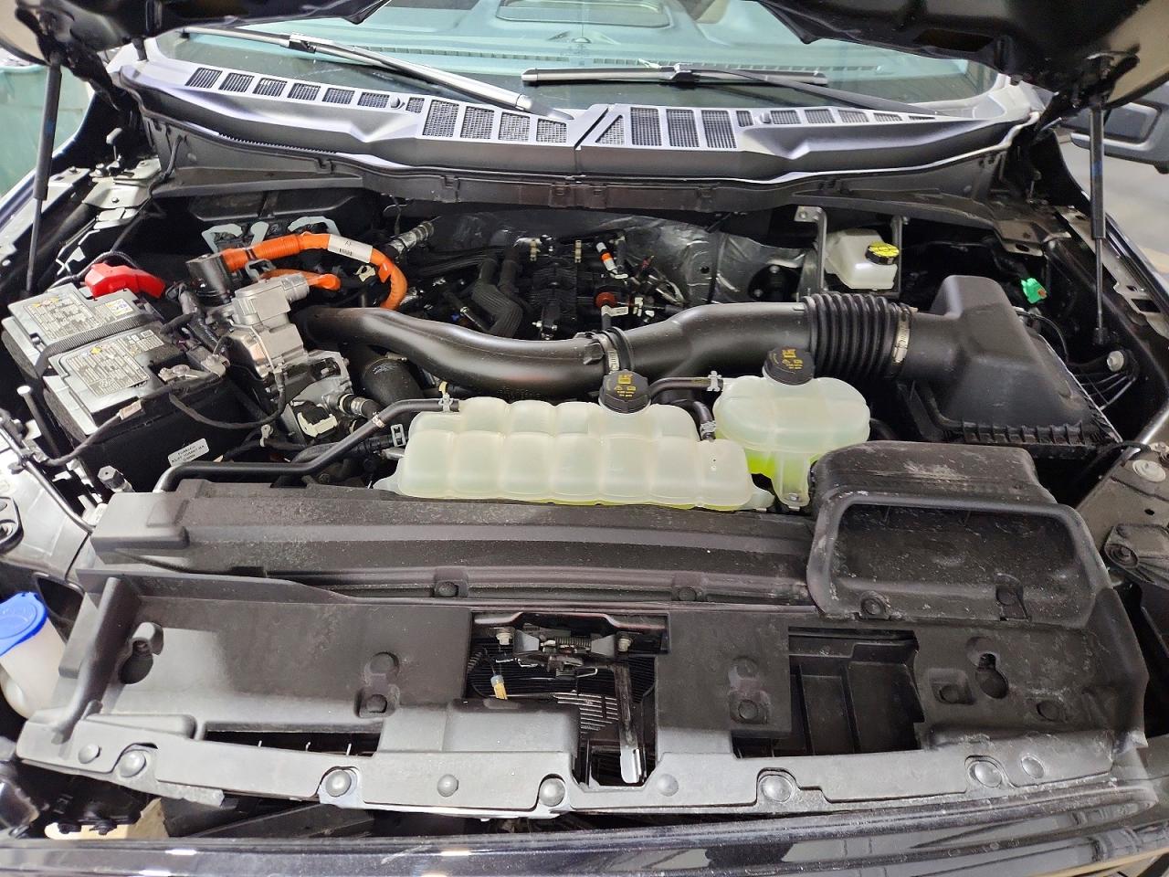 2025 FORD F150 XLT photo 41