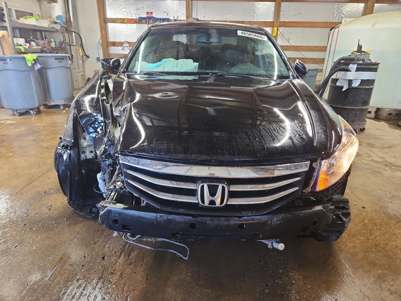 2011 HONDA ACCORD EXL photo 9