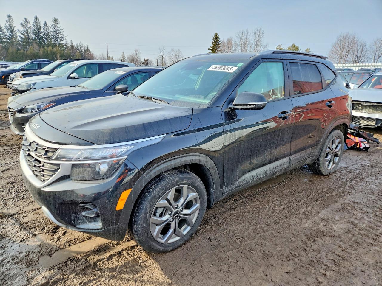 2025 KIA SELTOS