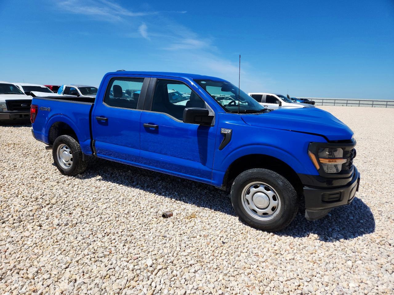 2025 FORD F150 photo 10