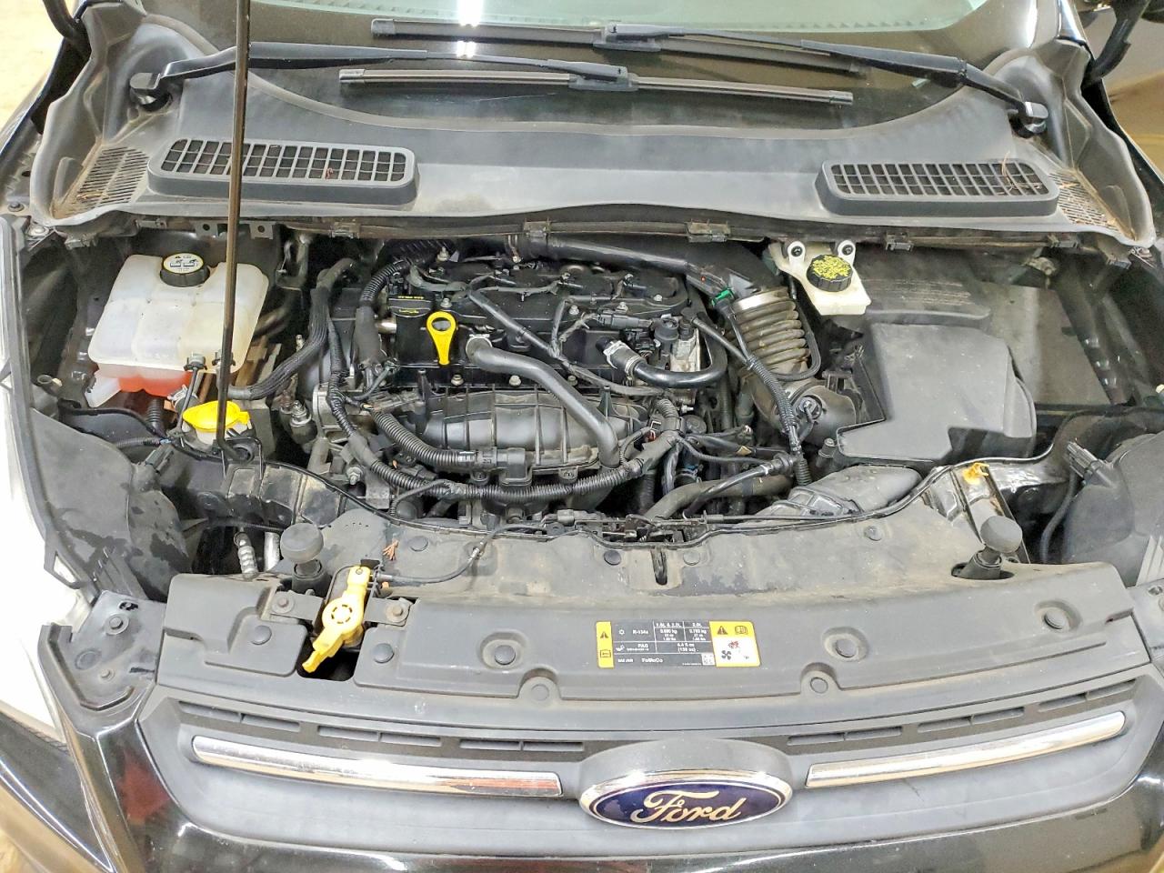 2014 FORD ESCAPE SE photo 12
