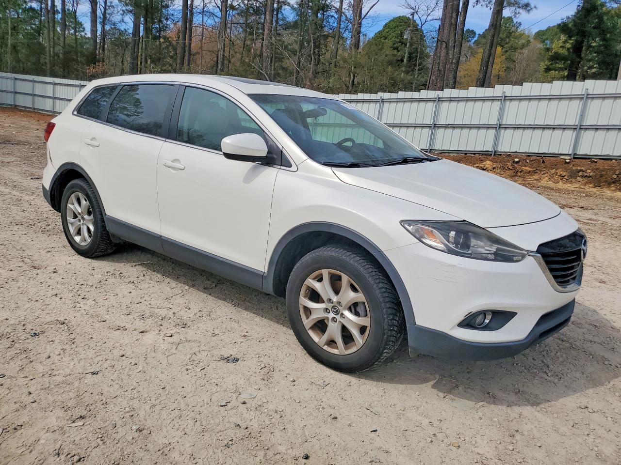 2013 MAZDA CX-9 TOURING photo 10