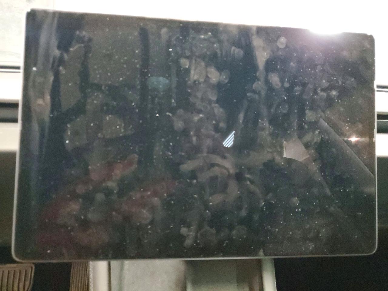 2024 TESLA MODEL 3 photo 17