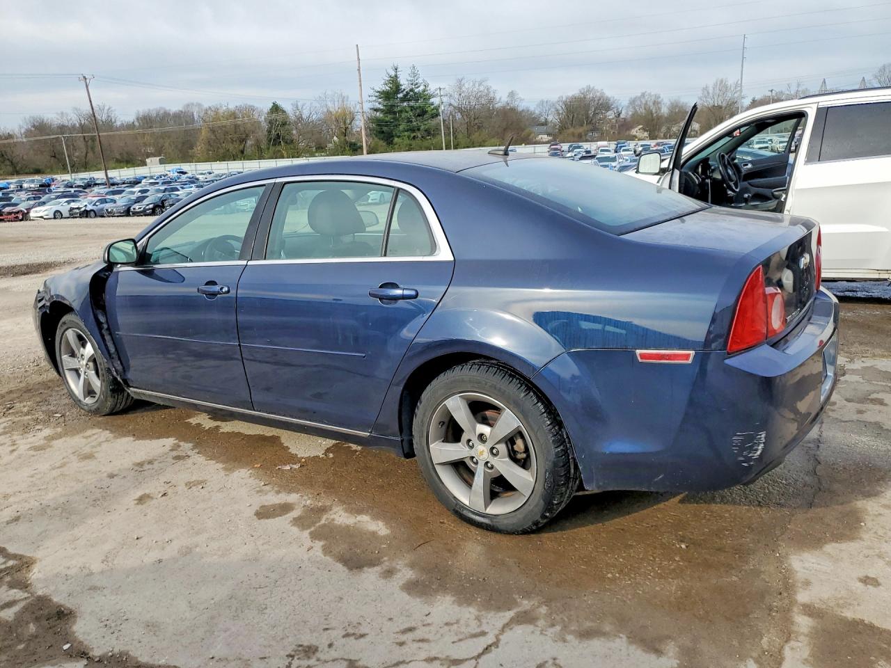 2011 CHEVROLET MALIBU 1LT photo 3