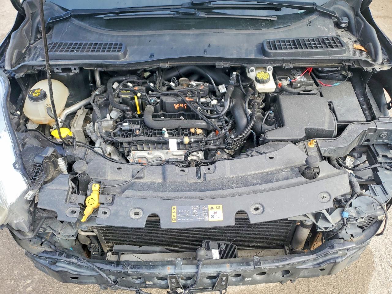 2019 FORD ESCAPE SE photo 34