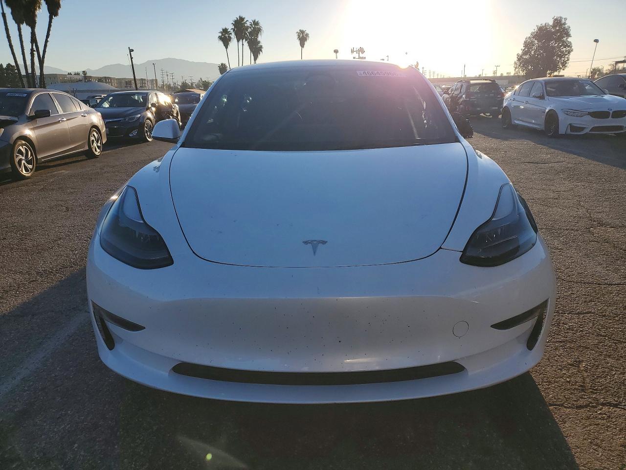 2023 TESLA MODEL 3 photo 13