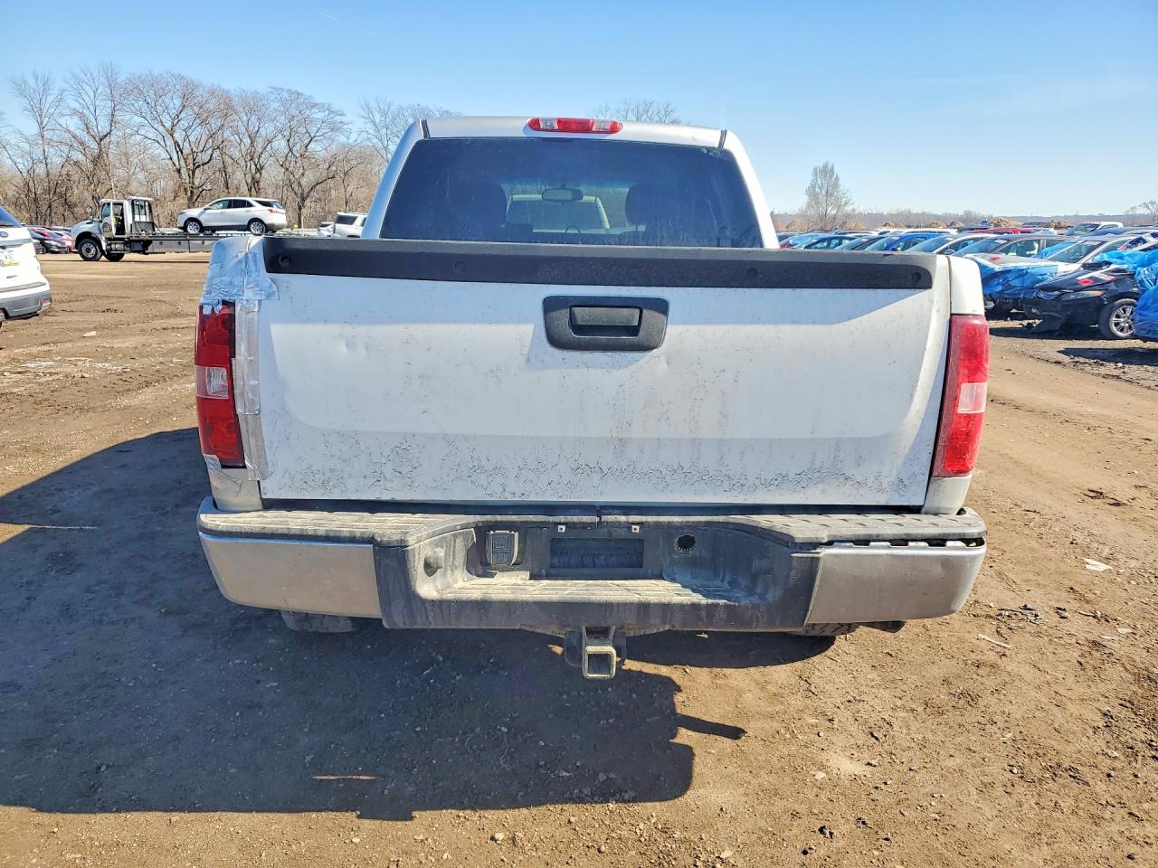2010 CHEVROLET SILVERADO K1500 LS photo 6