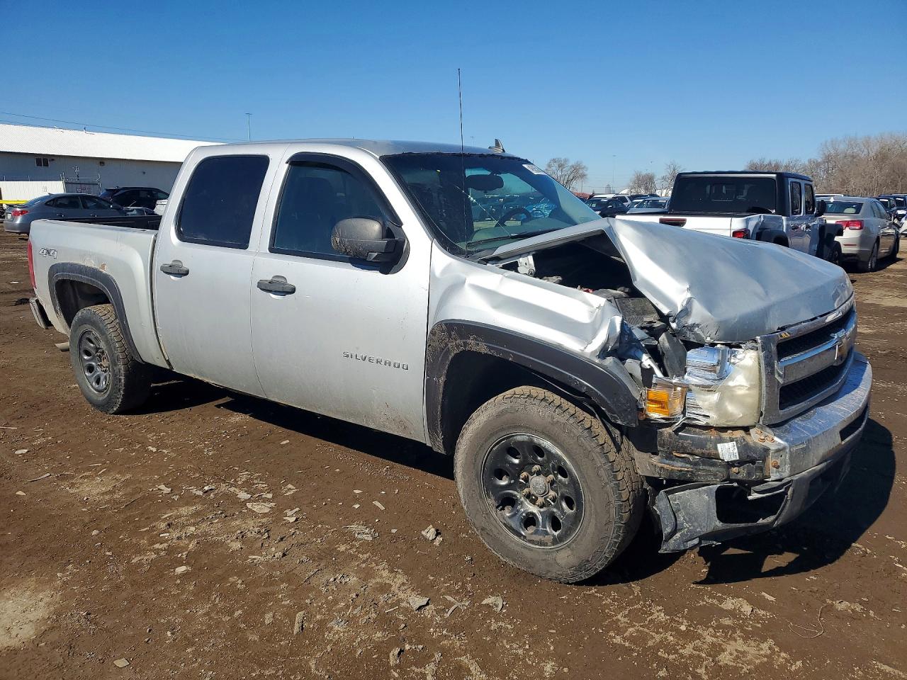 2010 CHEVROLET SILVERADO K1500 LS photo 4