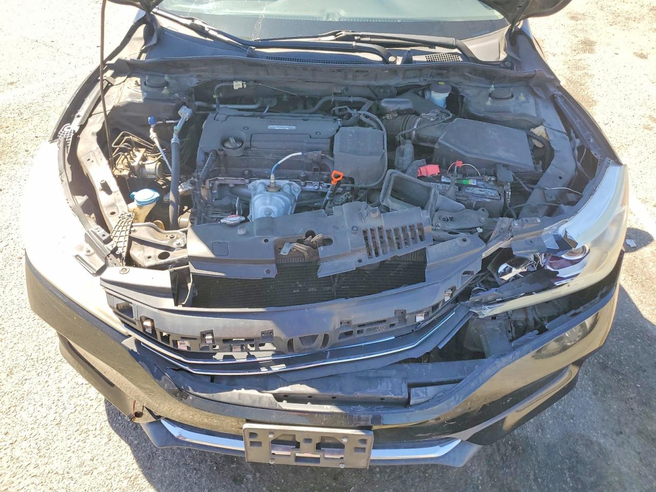 2016 HONDA ACCORD LX photo 11