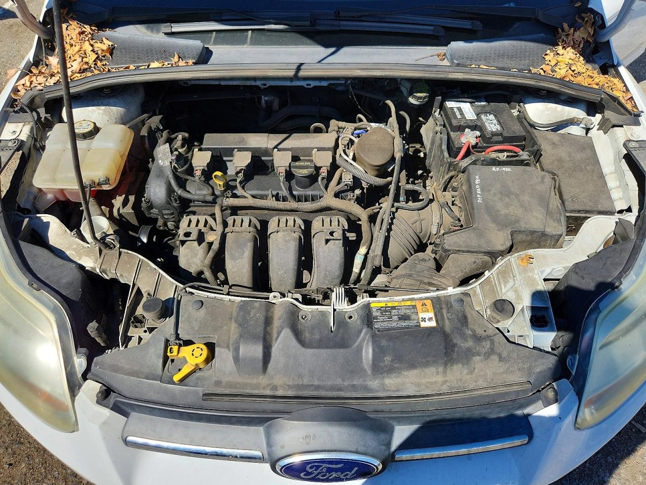 2014 FORD FOCUS SE photo 21