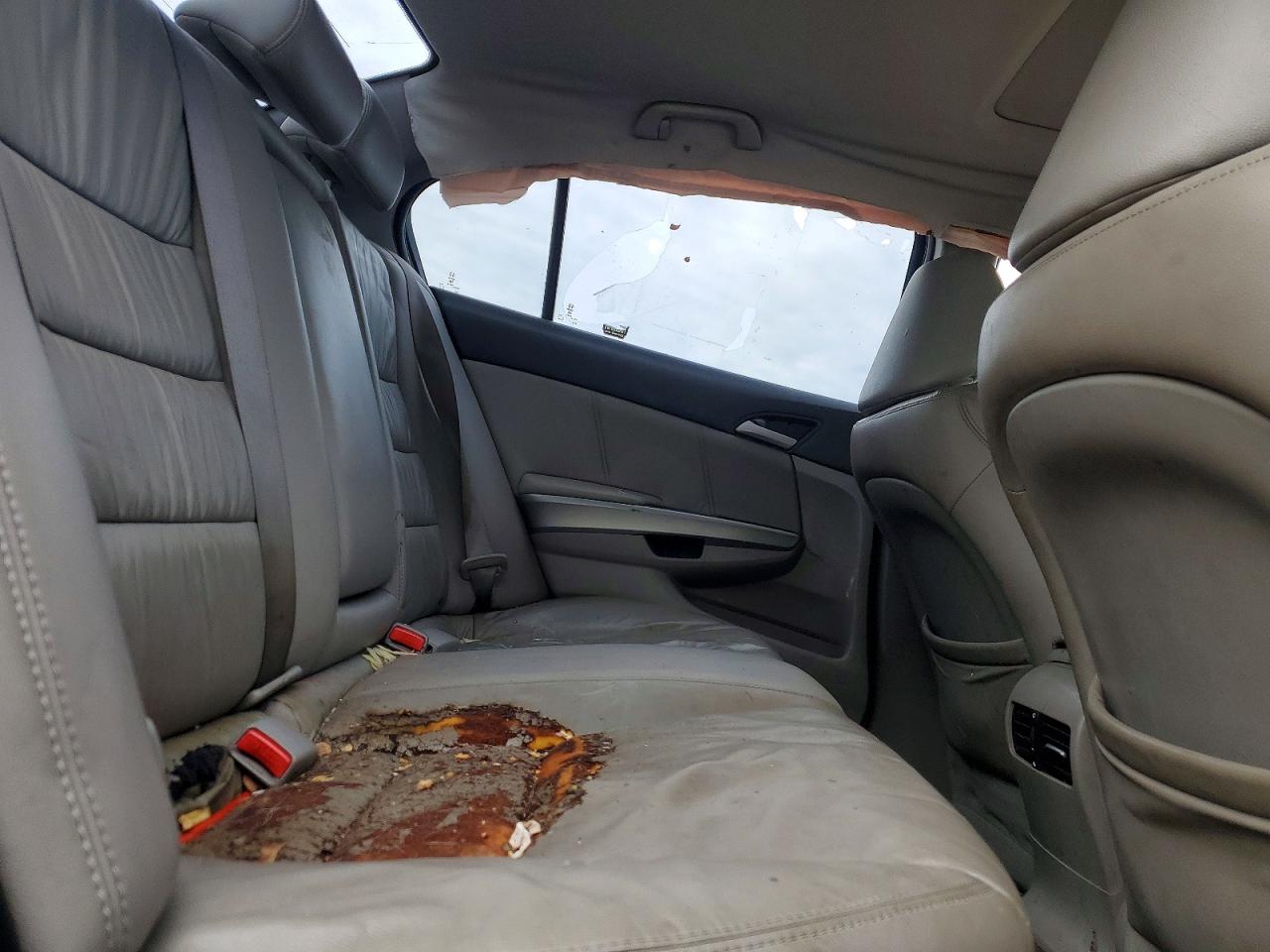 2010 HONDA ACCORD EXL photo 19